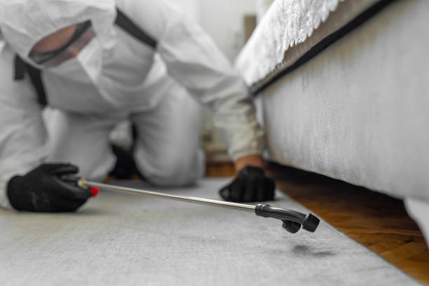 Professional Bed Bug Control technician working in Kewaskum, WI