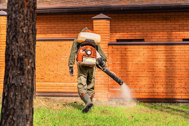 Trusted Mosquito Control service in Kewaskum, WI - Nex Pest Control